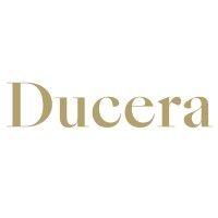 ducera partners llc