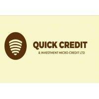 quick credit & investment micro-credit ltd logo image