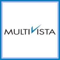 multivista global pvt. ltd. logo image