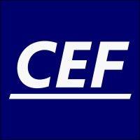 cef solutions inc. logo image