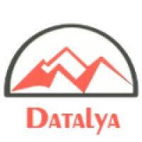 datalya logo image