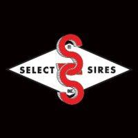 select sires inc.