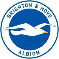 brighton & hove albion football club logo image