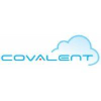 covalent software limited logo image