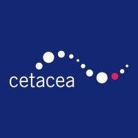 cetacea gmbh logo image