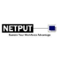 netput logo image