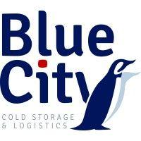 blue city s.r.l. logo image