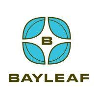 bayleaf software inc. logo image