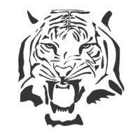 tiger electric, inc. logo image