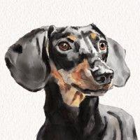 art of dogs by sebastian logo image