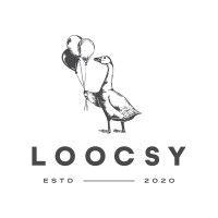 loocsy logo image