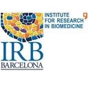 logo of Irb Barcelona