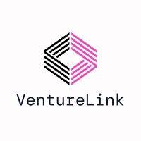 venture link logo image