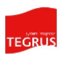 tegrus logo image