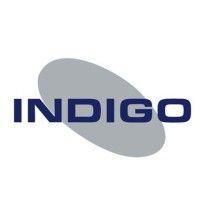 indigo marketing solutions ltd