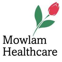 mowlam healthcare services logo image