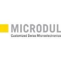 microdul ag logo image