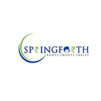 springforth investment managers private limited logo image