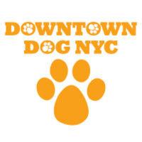 downtown dog nyc logo image