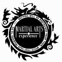 the martial arts experience