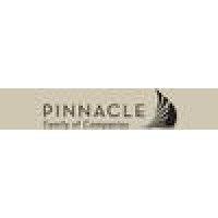 pinacle properties logo image