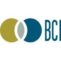 boone center, inc. (bci)