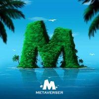 metaverser logo image