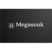 megasouk, inc logo image