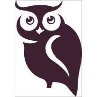 skinowl logo image