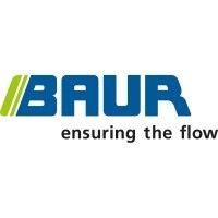 baur gmbh logo image