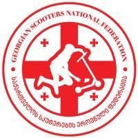 georgian scooters national federation logo image