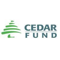 cedar fund logo image