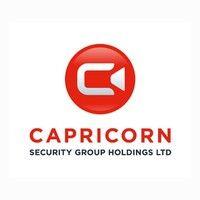 capricorn security group ltd logo image