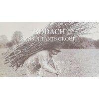 bodach consultants group logo image