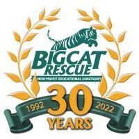 big cat rescue