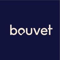 bouvet asa logo image