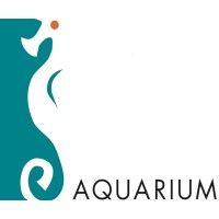 aquarium studios logo image