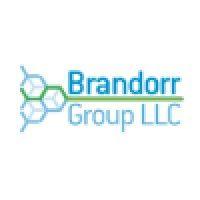 brandorr group logo image