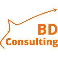 bd consulting logo image