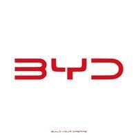 byd auto vietnam logo image