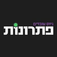 פתרונות גיוס עובדים logo image