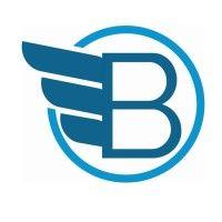 bluewing midstream llc logo image