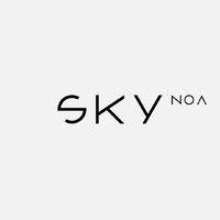 skynoa logo image