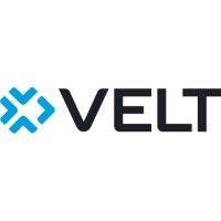 velt partners logo image