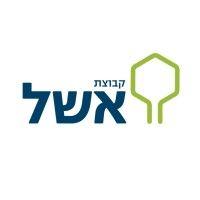 קבוצת אשל - eshel group logo image