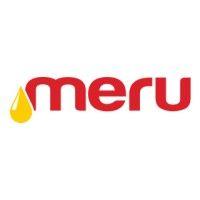 mount meru group logo image