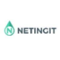 netingit logo image