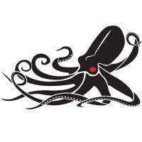 kraken robotics logo image