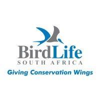 birdlife south africa logo image