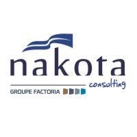 nakota consulting logo image